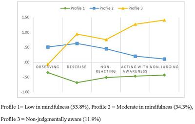 Dispositional mindfulness profiles in pregnant women: relationships with dyadic adjustment and symptoms of depression and anxiety